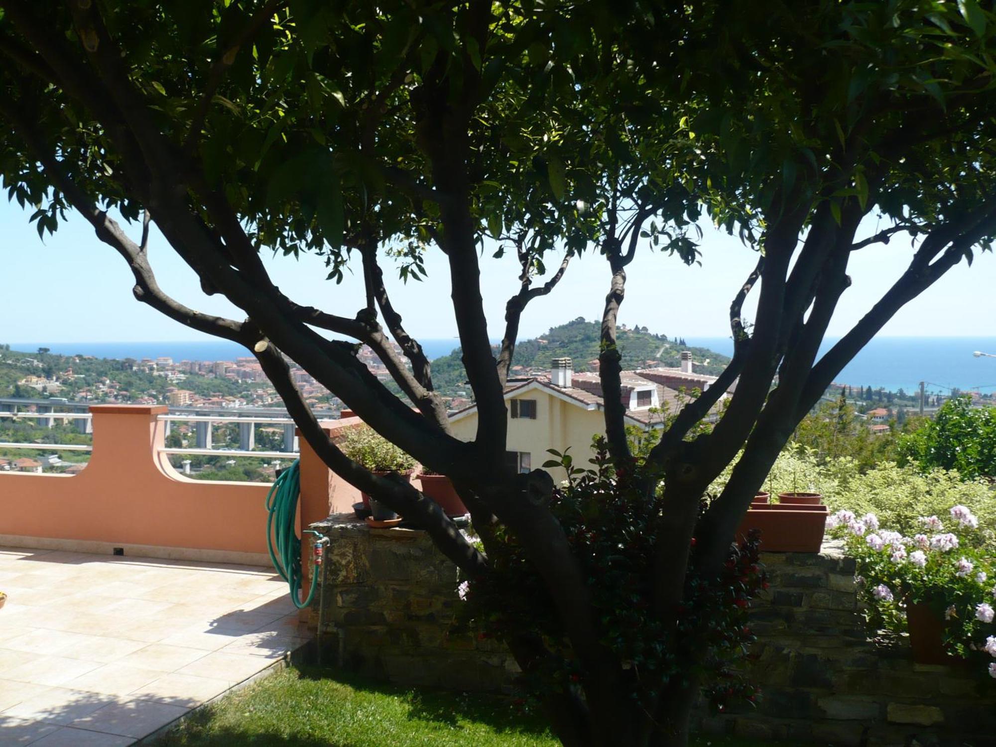 Azienda Agrituristica Villa Arianna Imperia Luaran gambar