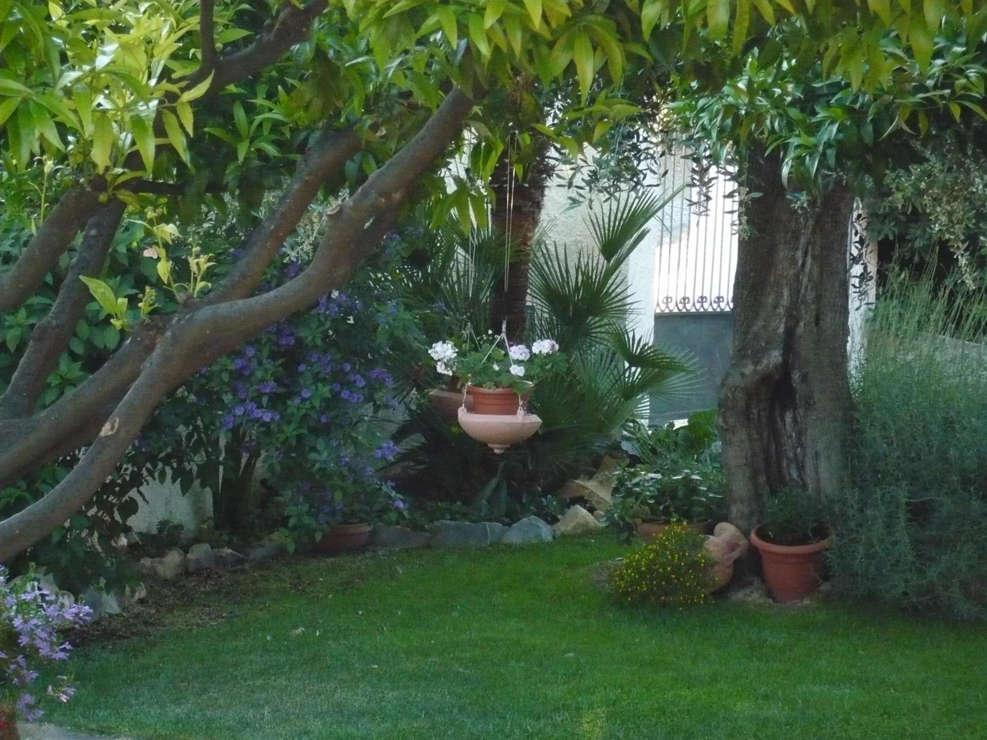 Azienda Agrituristica Villa Arianna Imperia Luaran gambar