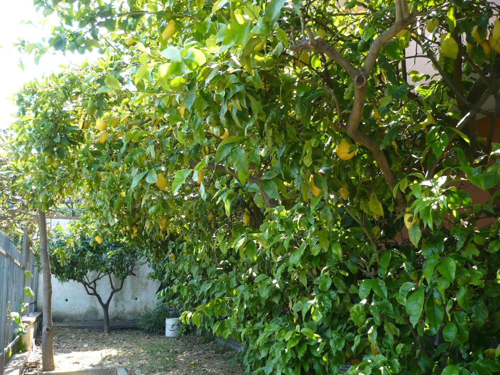 Azienda Agrituristica Villa Arianna Imperia Luaran gambar