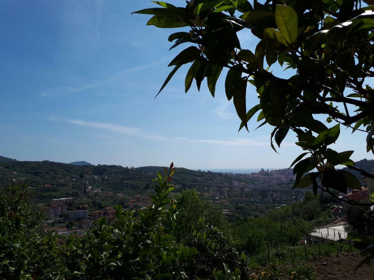 Azienda Agrituristica Villa Arianna Imperia Luaran gambar